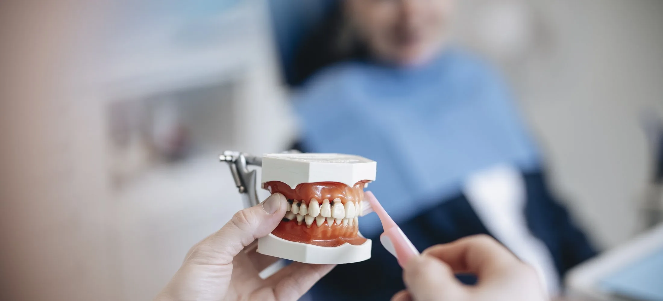 Ein Kiefermodell wird einer Patientin gezeigt